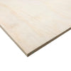 2400 x 1200mm CD Non-Structural Plywood